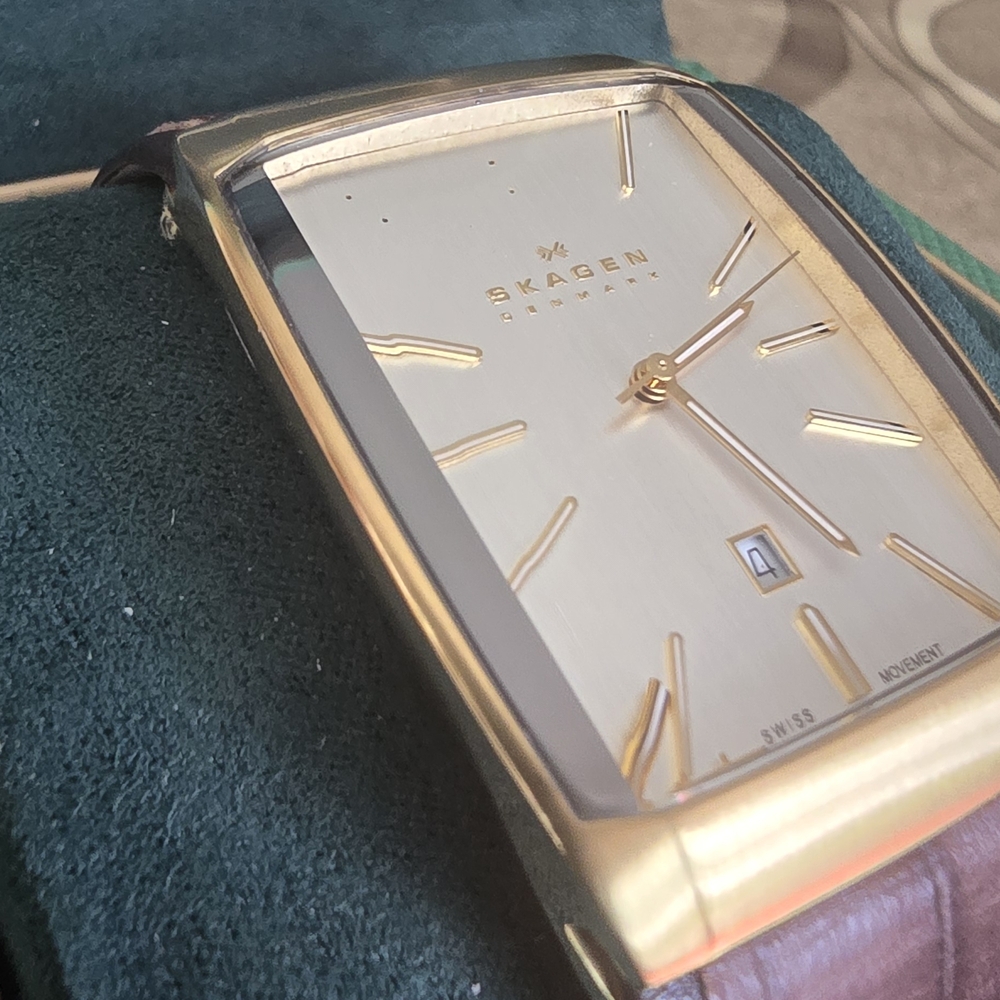 Skagen Gold and Brown Watch